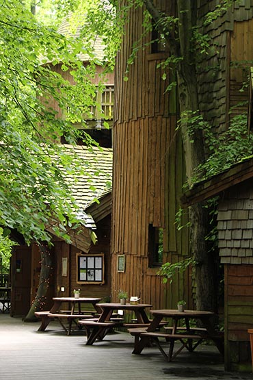 The Treehouse (4)