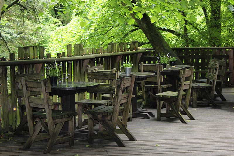 The Treehouse (5)