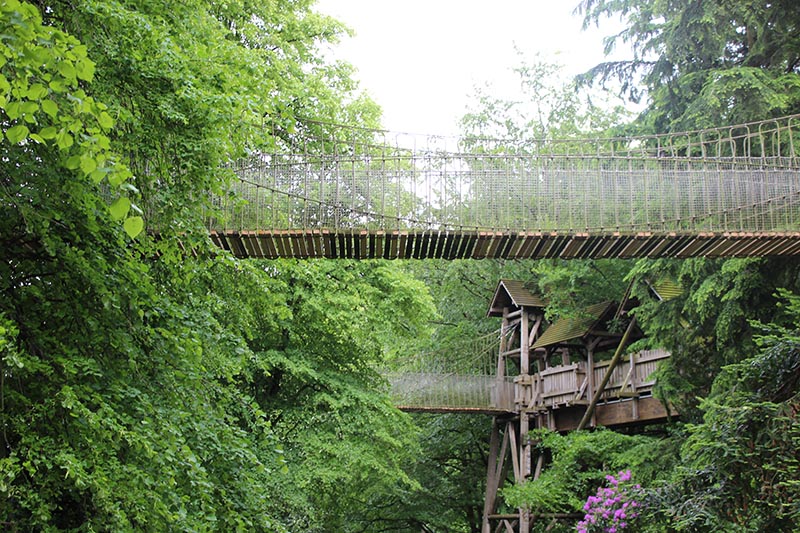 The Treehouse (6)