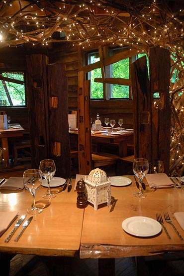 The Treehouse (7)