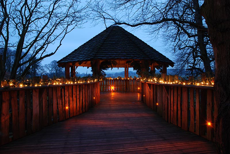 The Treehouse