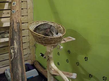 DSCN0603