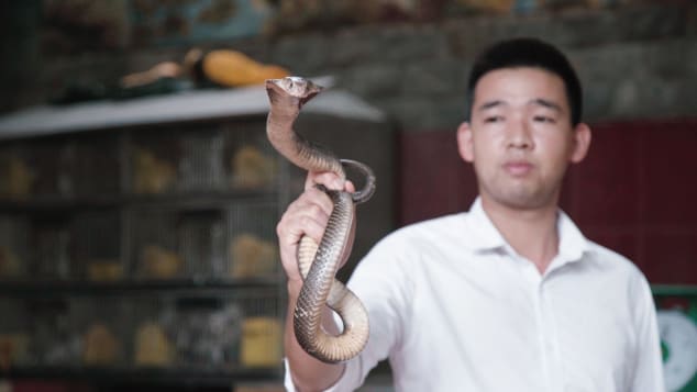 Εστιατόριο στο Βιετνάμ προσφέρει φίδια για γεύμα!